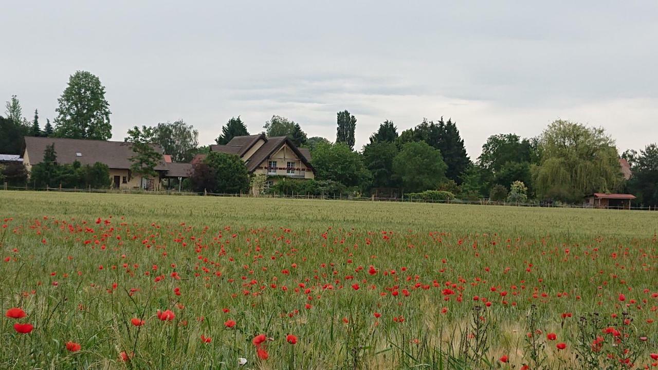 Gite Du Clos Paisible Jebsheim Exterior foto